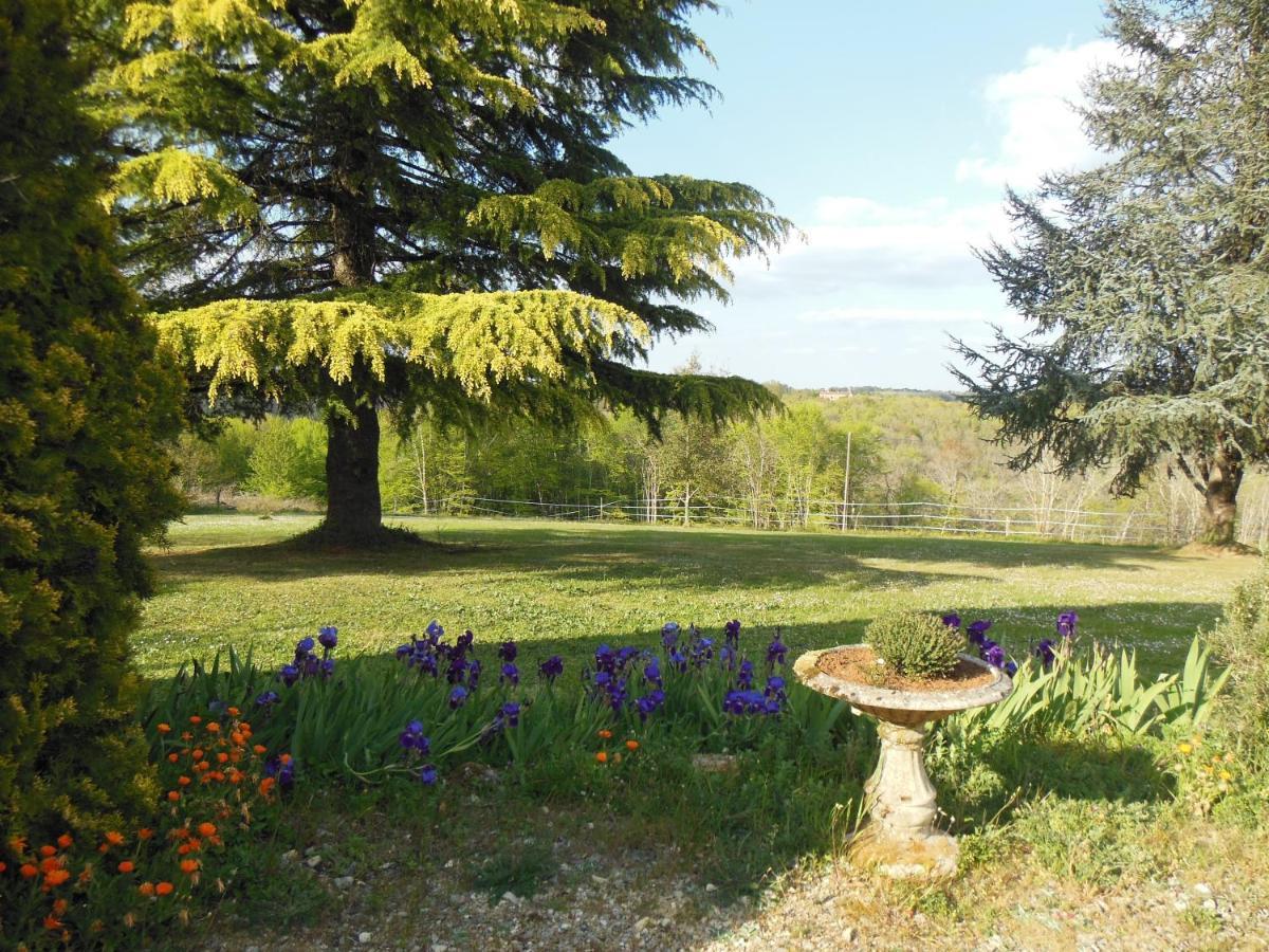 Les Hauts de Senteline Gavaudun Extérieur photo